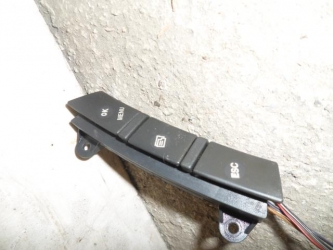 INTERRUPTOR MANDOS VOLANTE IVECO